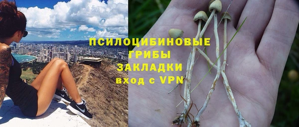 гидропоника Абдулино