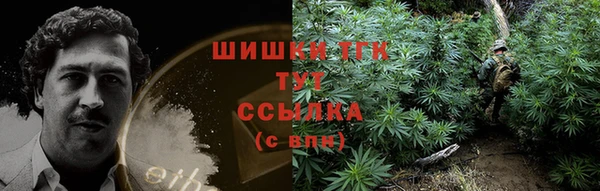 прущий лед Абаза