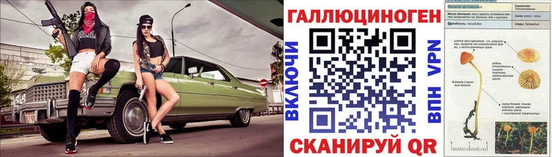 MEGA tor  Азнакаево  Галлюциногенные грибы Cubensis 